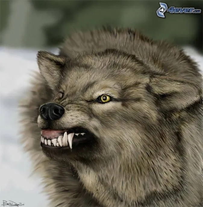 Lobo enojado