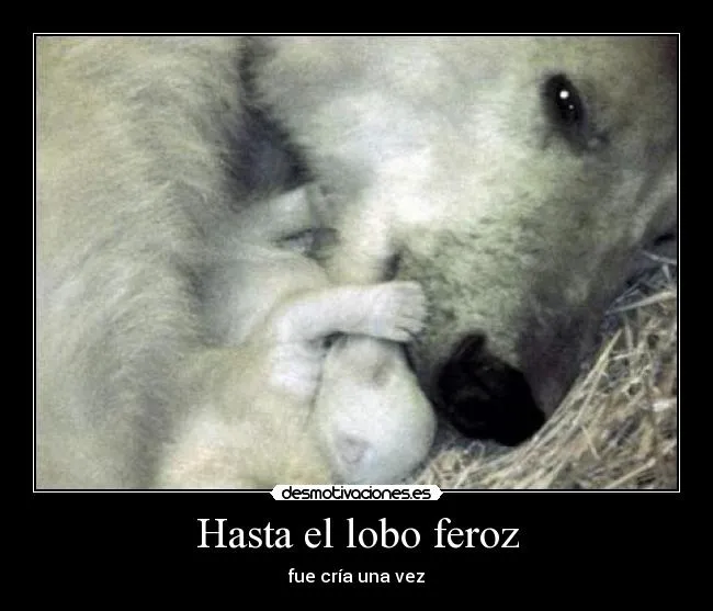 Hasta el lobo feroz | Desmotivaciones