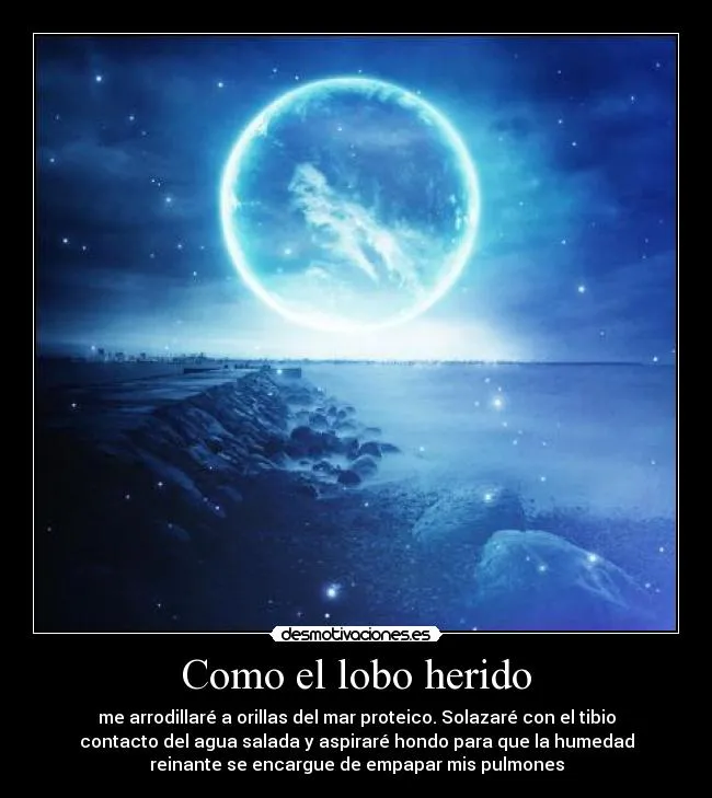 Como el lobo herido | Desmotivaciones