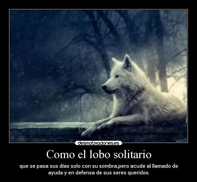 lobo solitario - Buscar con Google | HESSE | Pinterest | Google ... lobo solitario - Buscar con Google | HESSE | Pinterest | Google ...
