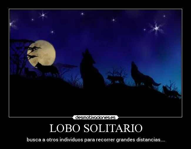 Carteles de Lobo Pag. 169 | Desmotivaciones