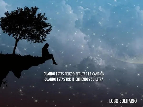 Lobo Solitario @lobosolitario1 | Klear