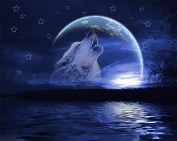 Lobo uivando | Viviane Design