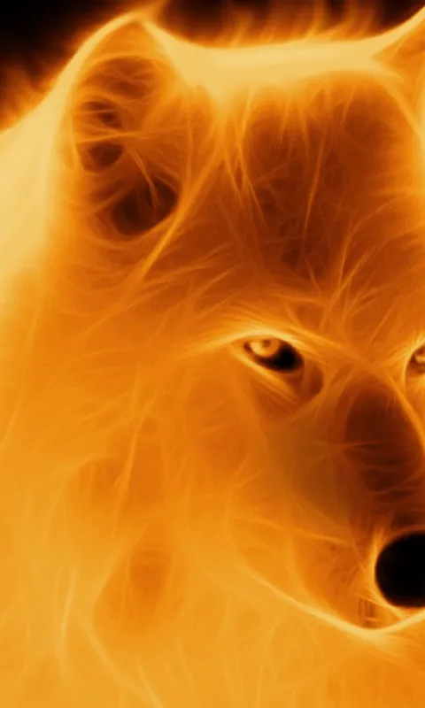 Lobo Wallpapers - Aplicaciones Android en Google Play