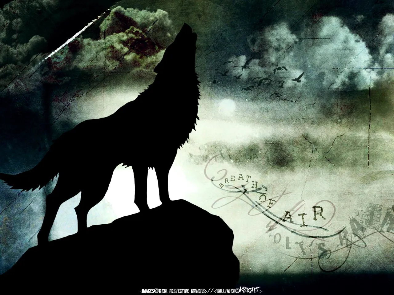 ... de Lobo - Wolf Wallpapers - Alucard - Goticismo, Anime e Humor ... de Lobo - Wolf Wallpapers - Alucard - Goticismo, Anime e Humor