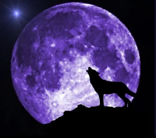 Lobos aullando wallpapers HD - Imagui