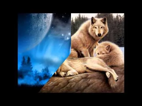 LOBOS BONITOS - YouTube