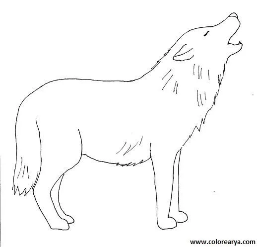 Dibujos para colorear y pintar para los niños Dibujos para colorear y pintar para los niños