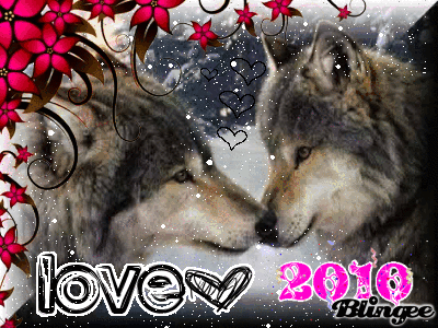 Lobos enamorados Picture #106071227 | Blingee. Lobos enamorados Picture #106071227 | Blingee.