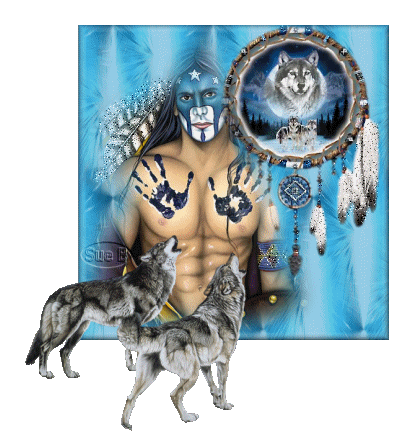 Lobo con movimiento - Imagui