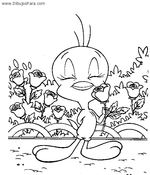 Soy Loca &amp; Que?: agosto 2013