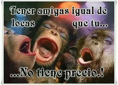 Locas y monitas...!! | Frases lindas y divertidas @##! | Pinterest Locas y monitas...!! | Frases lindas y divertidas @##! | Pinterest