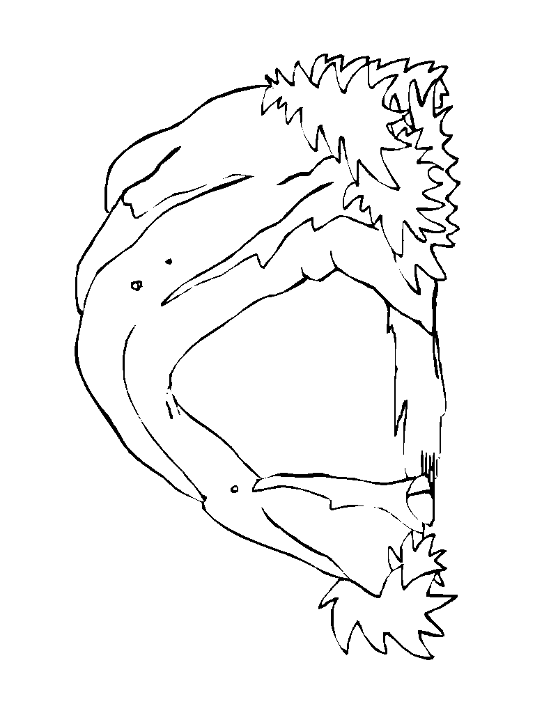 ESOS LOCOS BAJITOS DE INFANTIL: TIPOS DE CASAS