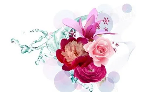 Vector para 15 años - Imagui