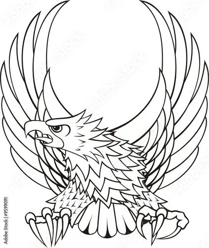 logo de aguila para escudo © Sergio Hayashi #9599091 - See portfolio logo de aguila para escudo © Sergio Hayashi #9599091 - See portfolio