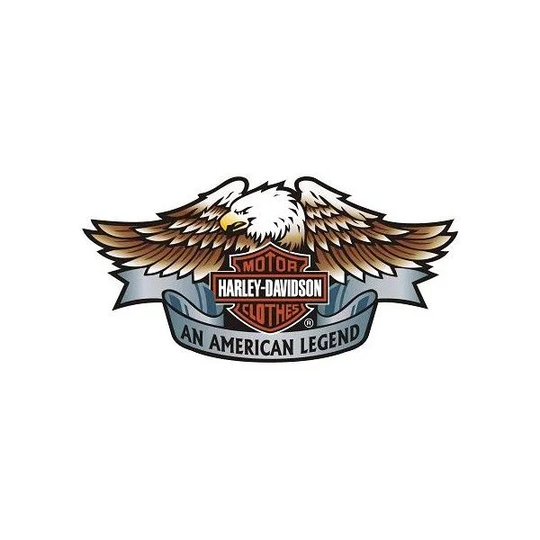 Pegatina logo Harley Aguila - Motocolor - Pintura y pegatinas de ...