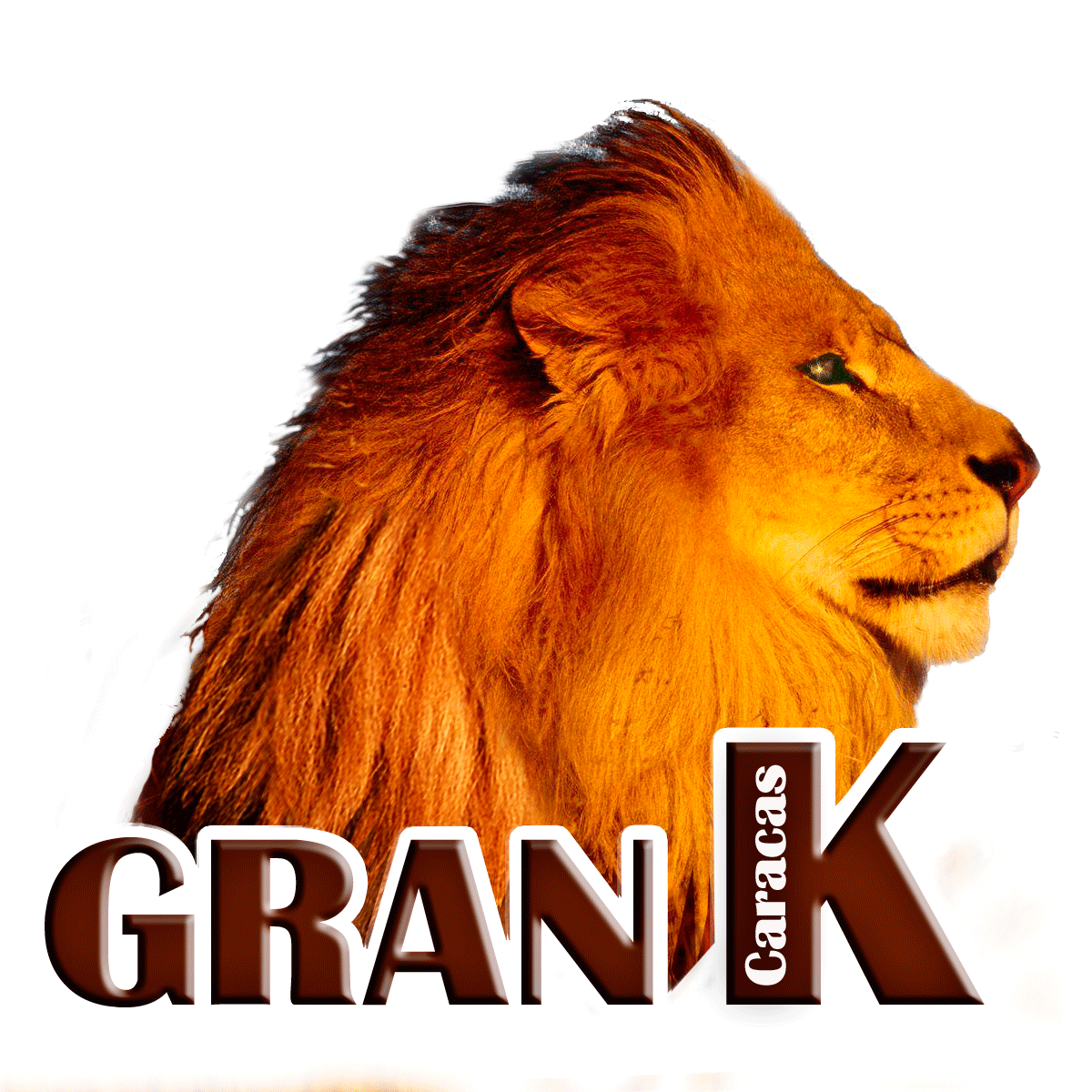 Logotipos | www.