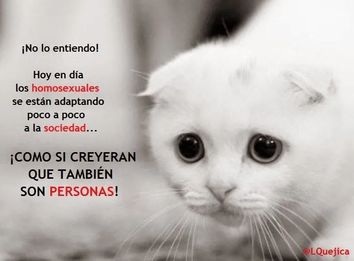Para lograr la igualdad lo primero es exterminar la invisibilidad ... Para lograr la igualdad lo primero es exterminar la invisibilidad ...