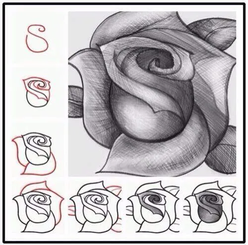Lola on Twitter: "“@iQueidea: Como dibujar una rosa Lola on Twitter: "“@iQueidea: Como dibujar una rosa