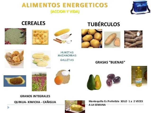 lonchera-nutritiva-rosmary-10- ...