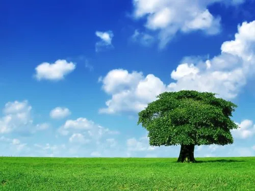 100+ fondos de pantalla de paisajes naturales - Frogx. 100+ fondos de pantalla de paisajes naturales - Frogx.