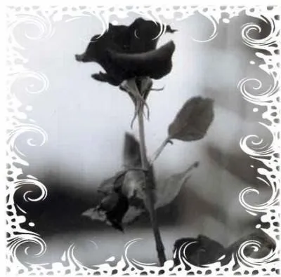 LOo qUe Mii MeNtE PiiEnSa!!: Mi rosa negra- Porta LOo qUe Mii MeNtE PiiEnSa!!: Mi rosa negra- Porta