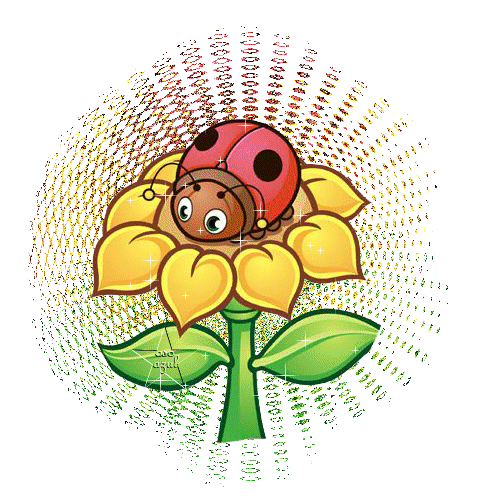 Look" Ferrol!: Unos bonitos gifs animados de flores para celebrar ... Look" Ferrol!: Unos bonitos gifs animados de flores para celebrar ...