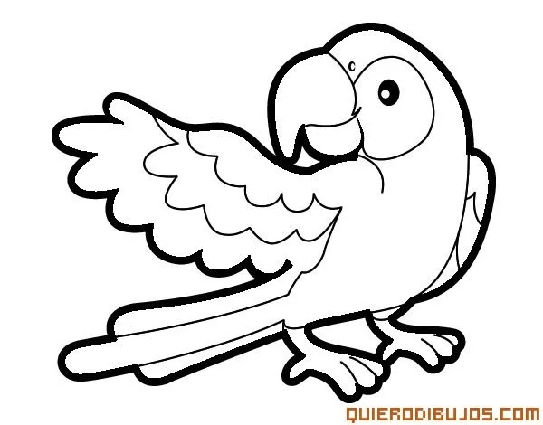 Loro-para-colorear.jpg