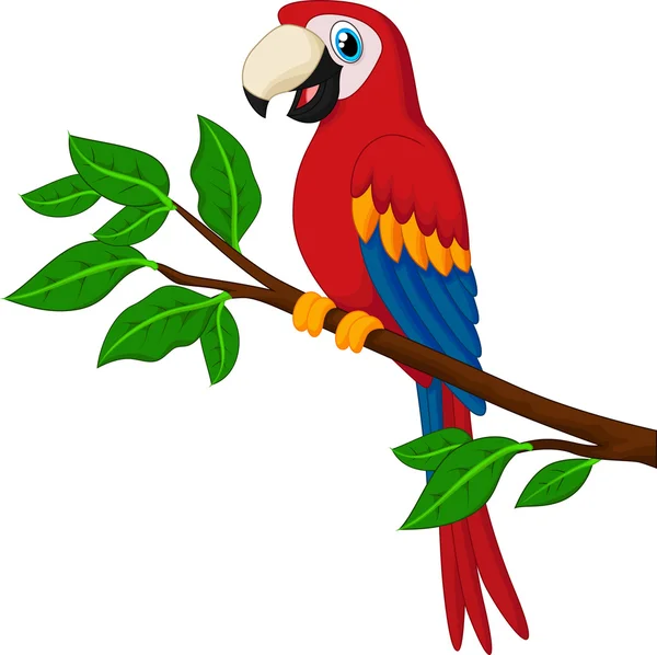Loro rojo de dibujos animados sobre una rama — Vector stock ... Loro rojo de dibujos animados sobre una rama — Vector stock ...