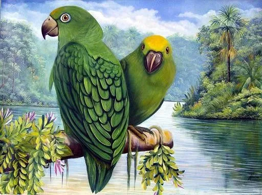 Loros en el caño Araguaito - - Aristides lira