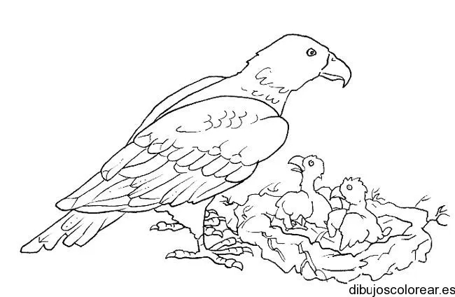Dibujos de Animales | Dibujos para Colorear