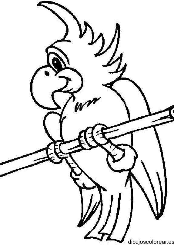 Loros | Dibujos para Colorear