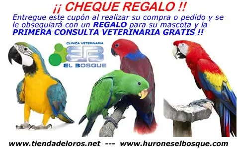 Loros, Tienda de Loros, Venta de Loros, Tienda de aves, Venta de ... Loros, Tienda de Loros, Venta de Loros, Tienda de aves, Venta de ...