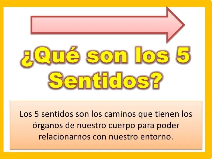 los-5-sentidos-por-priscyla- ...