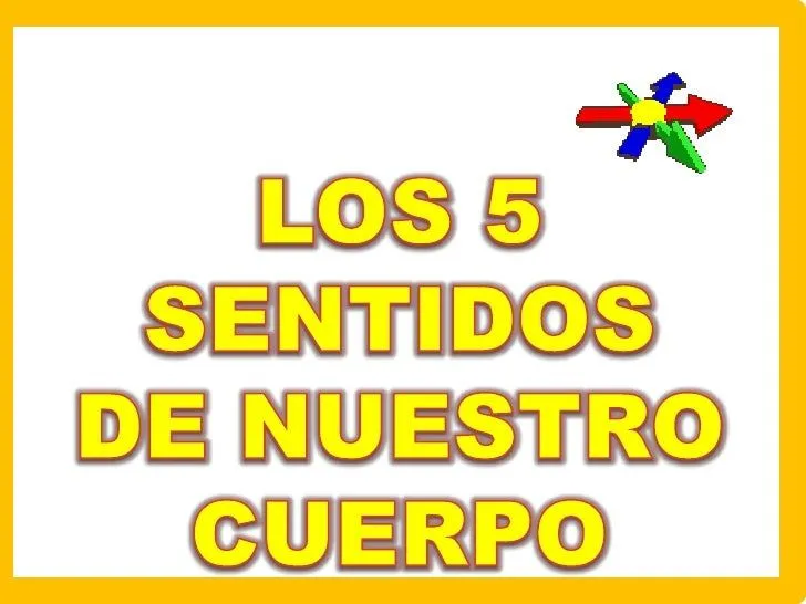 los-5-sentidos-por-priscyla- ...