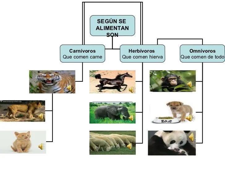 los-animales-2-728.jpg?cb= ...