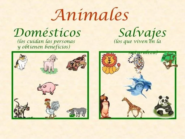 los-animales-2-e-primaria-3- ...