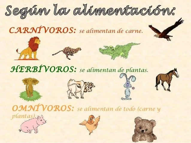 los-animales-2-e-primaria-4- ...