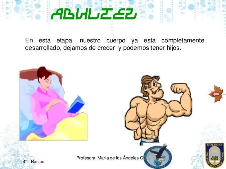 los-ciclos-de-vida-10-728.jpg? ...