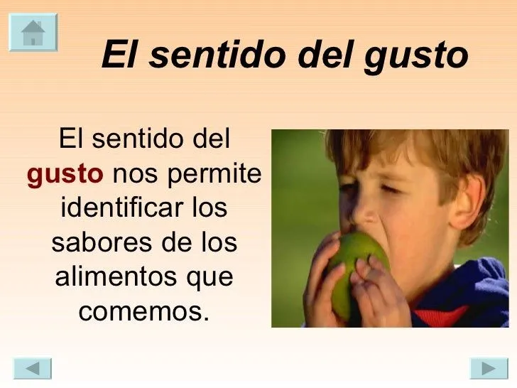 los-cinco-sentidos-23-728.jpg? ...
