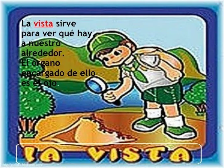 los-cinco-sentidos-3-728.jpg? ...
