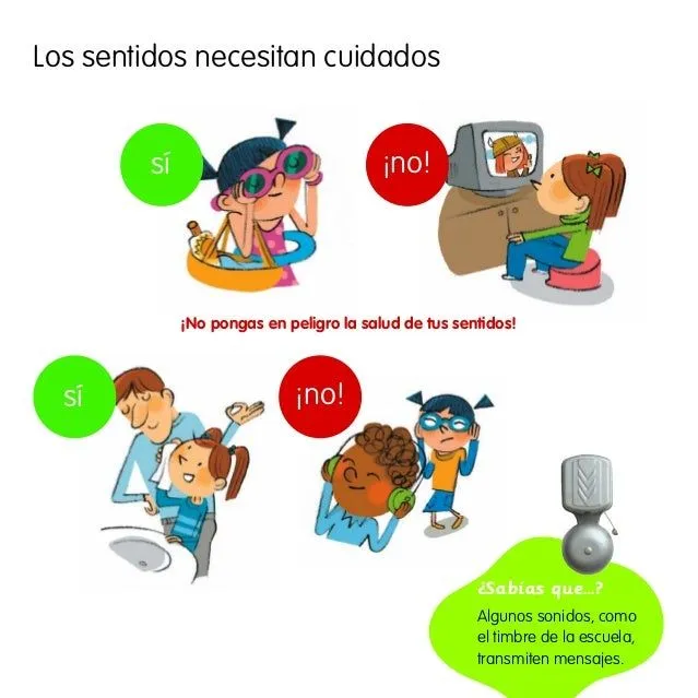 los-cinco-sentidos-7-638.jpg? ...