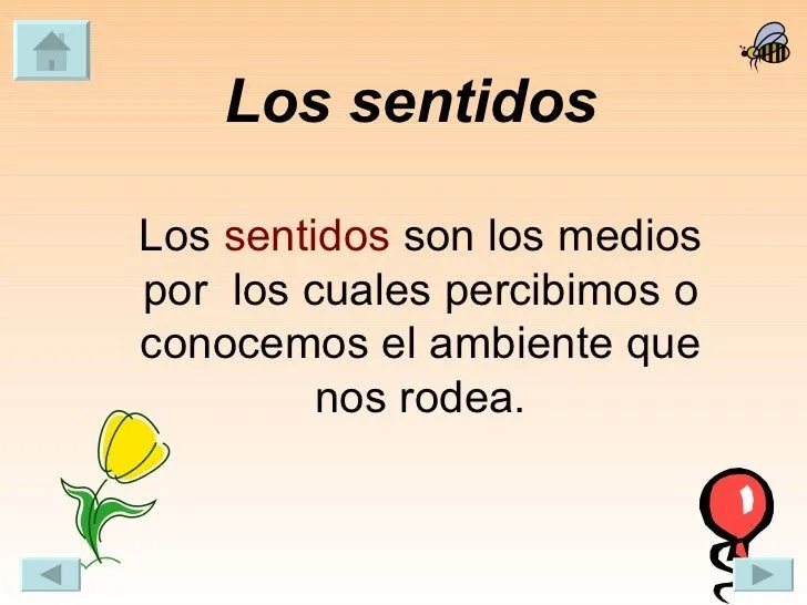 los-cinco-sentidos-7-728.jpg? ...
