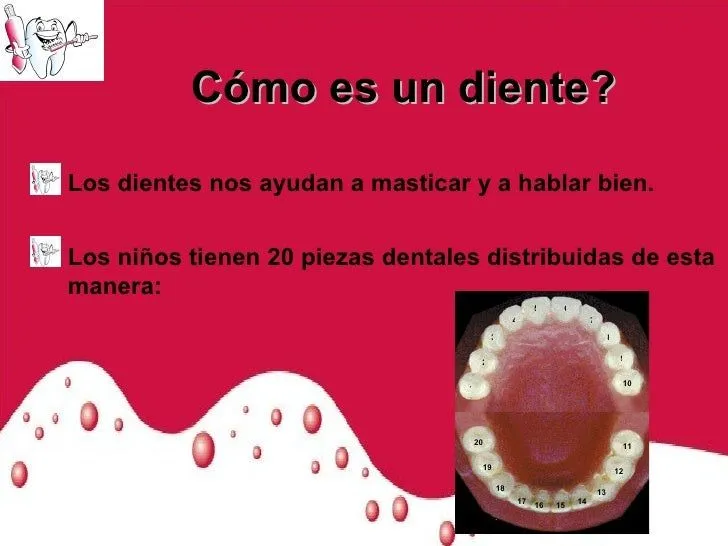 los-dientes-ppt-new-3-728.jpg? ...