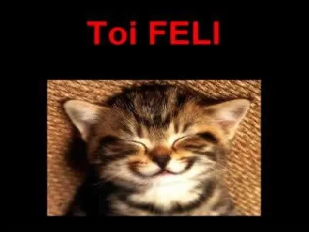 los-gatitos-mas-tiernos-del- ...