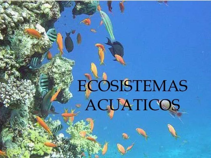 los-grandes-ecosistemas- ...