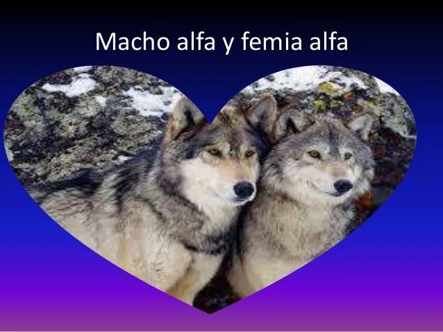 los-lobos-3-638.jpg?cb=1414072227