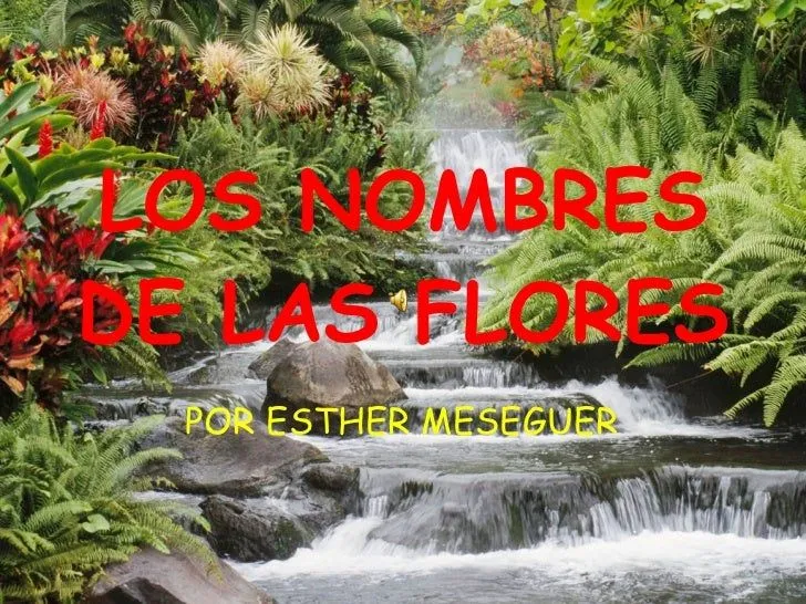 Los nombres de las flores