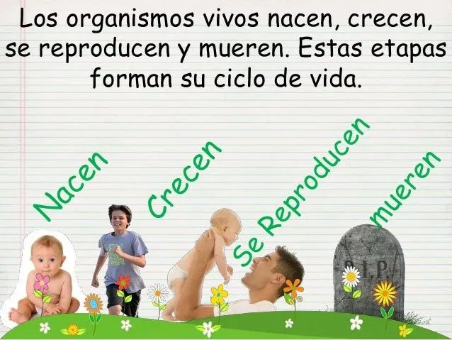 los-organismos-vivos-ciencia-2 ...