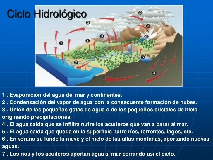 los-procesos-del-ciclo-del- ...